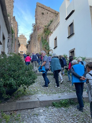 Arrivo2