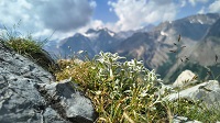 Auzet0